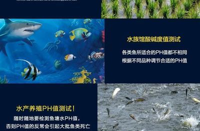 水族馆文章：上海海洋水族馆 水族馆百科（水族馆加盟） 第1张