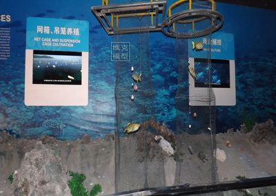 水族馆文章：上海海洋水族馆 水族馆百科（水族馆加盟） 第5张