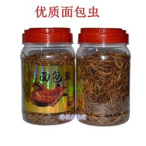 龙鱼下黄粉多久才见效：龙鱼下黄粉后药效通常持续1-3天