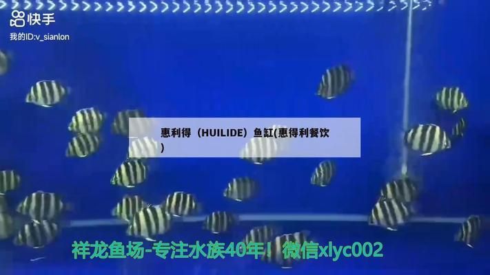 惠利得（HUILIDE）鱼缸：惠利得鱼缸材质对比分析惠利得鱼缸材质对比分析