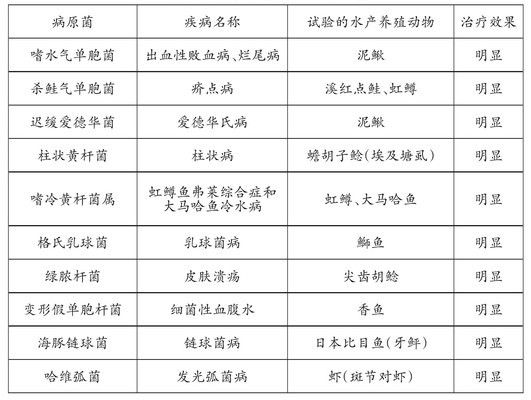 噬菌体治疗观赏鱼的最新研究：噬菌体在观赏鱼治疗中的应用 观赏鱼百科 第5张