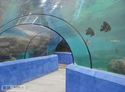 水族馆门票价格：2018上海海洋水族馆门票价格 水族馆百科（水族馆加盟） 第4张