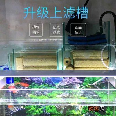 翌美鱼缸使用方法视频大全：翌美鱼缸使用方法视频大全提供了全面而详细步骤 鱼缸百科 第3张