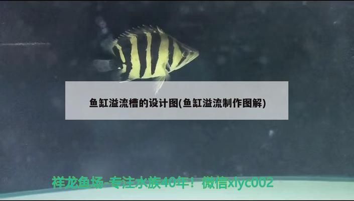 鱼缸流水设计：鱼缸流水设计风水布局鱼缸流水设计美观技巧 鱼缸百科 第2张