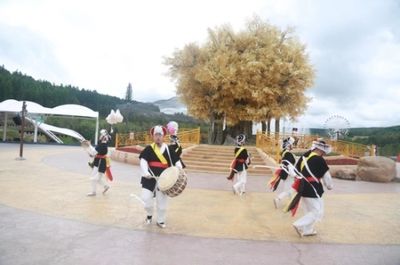 延边朝鲜族自治州水族馆：中国最大的朝鲜族聚集地——延吉 全国观赏鱼市场 第3张