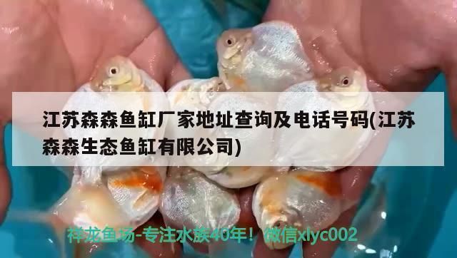 森森鱼缸厂家联系电话 鱼缸百科 第2张