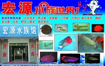 水族馆招牌图片大全：水族馆招牌图片大全水族馆招牌设计灵感来源 水族馆百科（水族馆加盟） 第5张