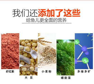 观赏鱼饲料营养成分对比：自制观赏鱼饲料的营养成分是决定鱼类健康和生长的关键因素 观赏鱼百科 第2张