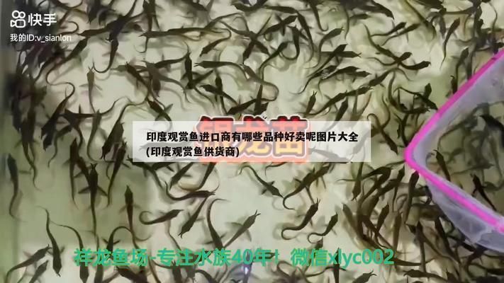 宣城水族批发市场：安徽宣城水族批发市场位于安徽省宣城水族批发市场 全国观赏鱼市场 第5张