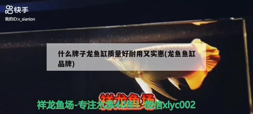 龙鱼鱼缸排行榜：龙鱼鱼缸排行榜品牌推荐 龙鱼百科 第4张