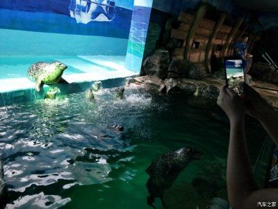 株洲水族馆：株洲市旺和水族馆