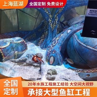 水族馆施工过程：水族馆施工过程的详细信息 水族馆百科（水族馆加盟） 第2张