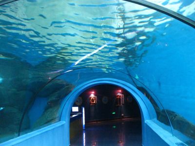 水族馆施工过程：水族馆施工过程的详细信息 水族馆百科（水族馆加盟） 第5张