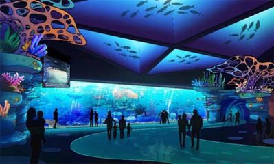 水族馆施工过程：水族馆施工过程的详细信息 水族馆百科（水族馆加盟） 第3张