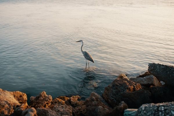 孝感水族馆：孝感水族馆孝感海洋水族馆 全国观赏鱼市场 第5张