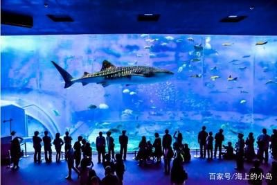 全国水族馆排行2020年：2020年中国全国水族馆排行 水族馆百科（水族馆加盟） 第4张