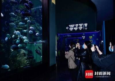 全国水族馆排行2020年：2020年中国全国水族馆排行