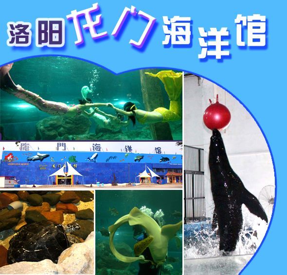 国内 水族馆：上海海洋水族馆 水族馆百科（水族馆加盟） 第3张