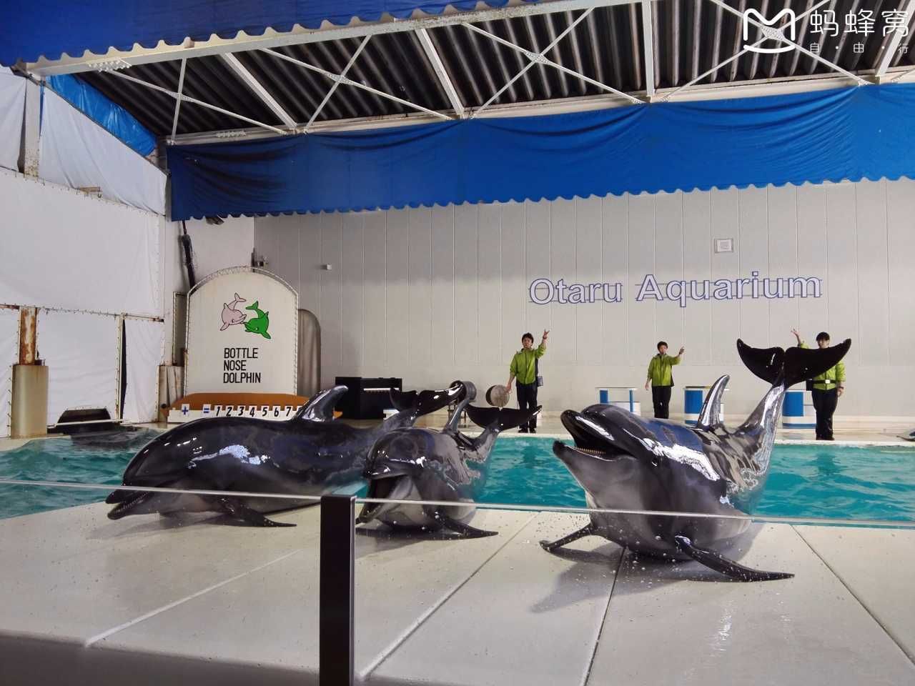 小樽水族馆官网旗舰店：小樽水族馆官网旗舰店介绍 水族馆百科（水族馆加盟） 第3张