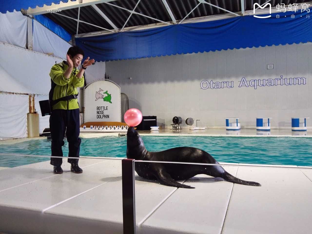 小樽水族馆官网旗舰店：小樽水族馆官网旗舰店介绍 水族馆百科（水族馆加盟） 第4张