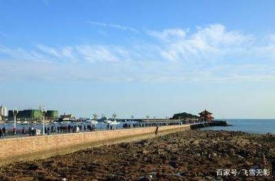 水族馆游玩日记500字：探索海洋奇观 水族馆百科（水族馆加盟） 第4张