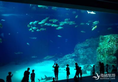 水族馆用英语怎么读：aquarium英语单词拼写