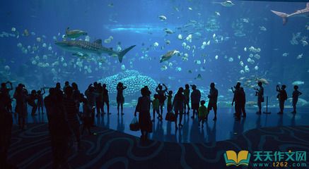 水族馆用英语怎么读：aquarium英语单词拼写