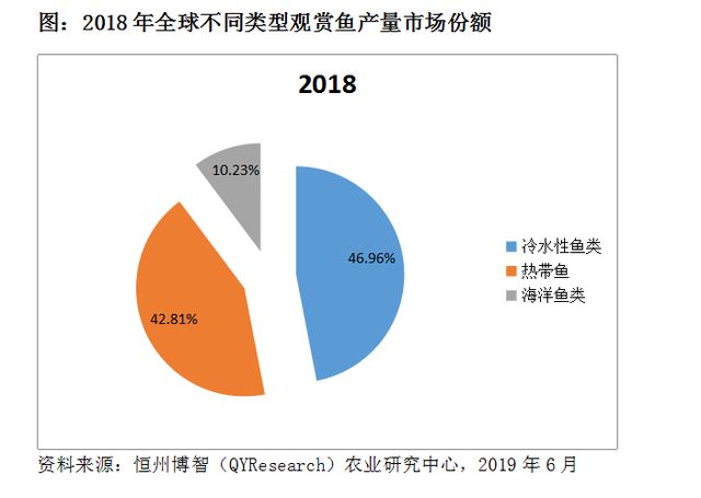 观赏鱼市场流行趋势预测：观赏鱼市场发展趋势 观赏鱼百科 第4张