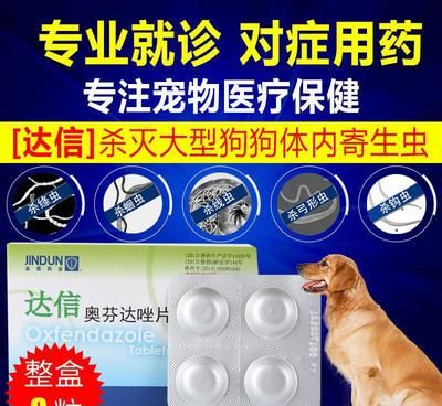 古典和24k金龙鱼哪个好：24k金龙鱼与古典两种钓鱼线在性能、耐用性及价格对比