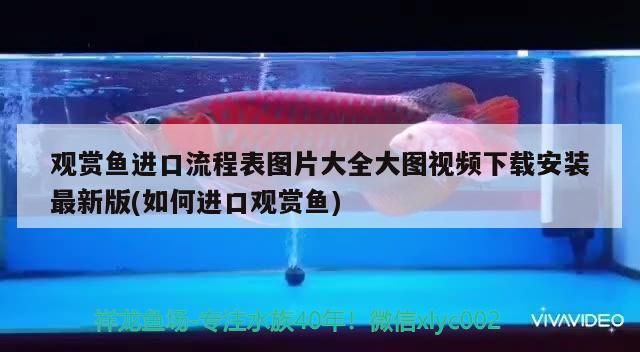 阿克苏水族批发市场：新疆阿克苏观赏鱼批发市场 全国观赏鱼市场 第4张