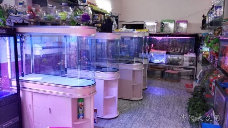 水族馆用品批发：广州水族馆用品批发价格对比水族馆用品批发详情介绍