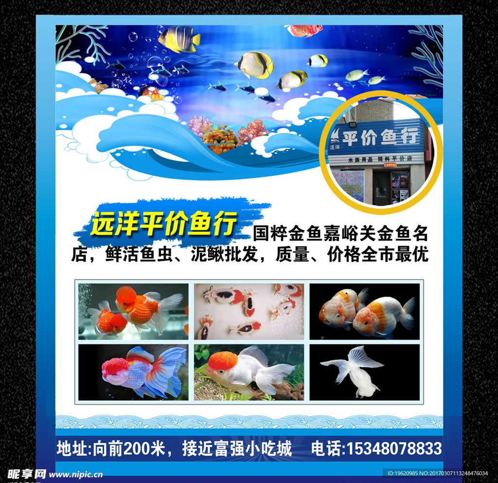 水族馆用品批发：广州水族馆用品批发价格对比水族馆用品批发详情介绍