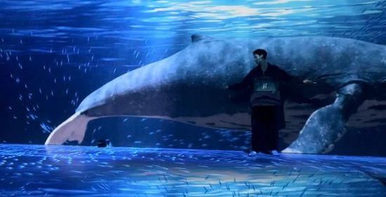 静海水族馆在哪：上海静海水族馆营业时间查询新泰静海水族馆门票价格对比 水族馆百科（水族馆加盟） 第1张