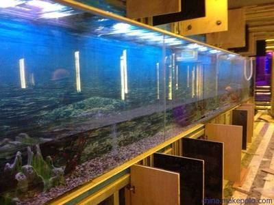 合肥水族批发市场：合肥水族批发市场有哪些水族批发市场有哪些 全国观赏鱼市场 第2张