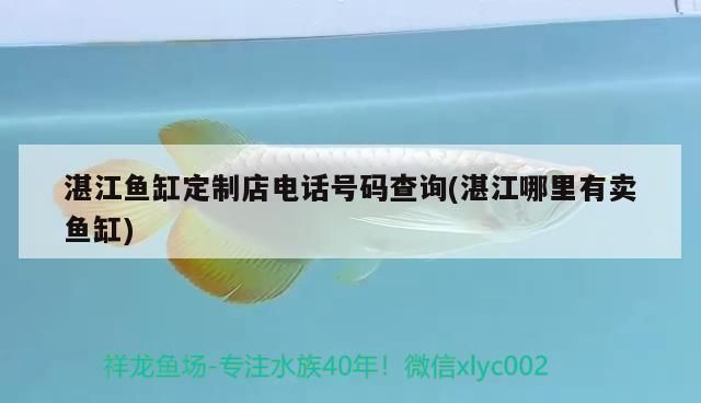 湛江观赏鱼批发市场：湛江观赏鱼批发市场:地方、规模和特点的详细分析 全国观赏鱼市场 第8张