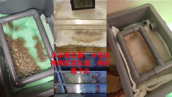 森森鱼缸过滤器摆放滤材的顺序：森森鱼缸过滤器摆放滤材的基本顺序 鱼缸百科 第2张