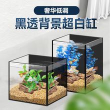 潮州水族批发市场：广东潮州水族批发市场 全国观赏鱼市场 第12张