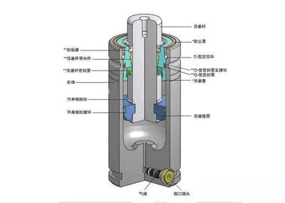 龙鱼缸怎么做到空气缸的：龙鱼缸怎么做到空气缸 龙鱼百科 第5张