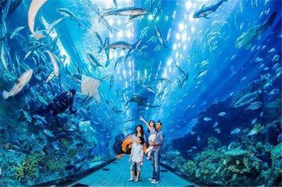 水族馆发展前景：中国水族馆行业发展趋势分析 水族馆百科（水族馆加盟） 第5张