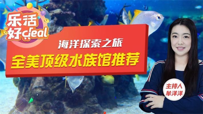 水族馆开在什么地方合适一点：选择合适的水族馆开设地点 水族馆百科（水族馆加盟） 第1张