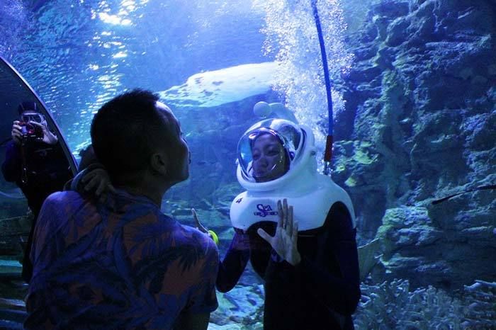 水族馆百科：《水族馆百科》 水族馆百科（水族馆加盟） 第4张