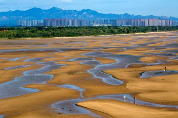 水族馆门票多少钱一张北戴河：北戴河水族馆特色展览介绍北戴河水族馆亲子套票价格 水族馆百科（水族馆加盟） 第2张