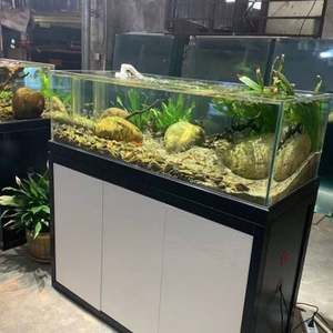 大型水族馆怎么过滤的：大型水族馆的过滤系统 水族馆百科（水族馆加盟） 第5张