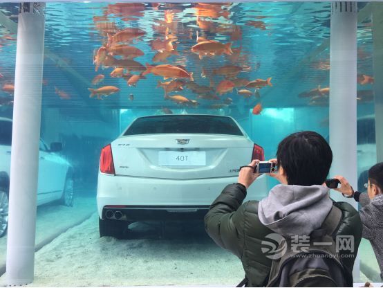 水族馆鱼缸制作设计：关于水族馆鱼缸制作设计的详细信息 水族馆百科（水族馆加盟） 第4张