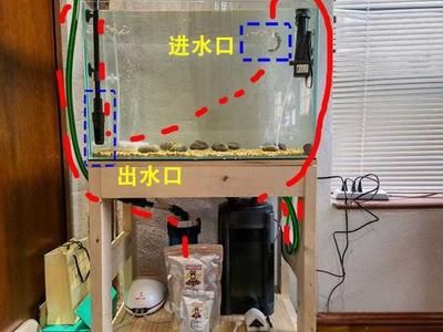 鱼缸出水方式效果对比图：不同鱼缸出水方式对水质的影响 鱼缸百科 第2张