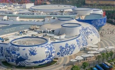 景德镇水族馆：徐记鸟行水族馆