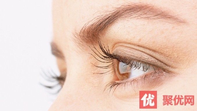 魟鱼眼部护理方法：魟鱼日常保健技巧，[需手动填充]鱼眼部护理注意事项 魟鱼百科 第1张