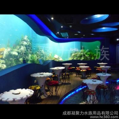 水族馆制作厂家有哪些公司：水族馆制作厂家价格 水族馆百科（水族馆加盟） 第3张