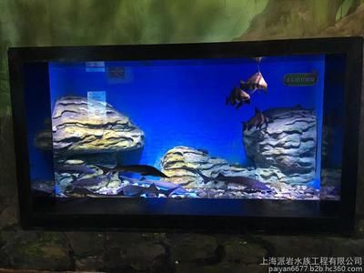 水族馆制作厂家有哪些公司：水族馆制作厂家价格 水族馆百科（水族馆加盟） 第5张