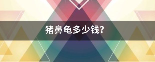 2021年猪鼻龟价格多少钱一只呢：2021年猪鼻龟死前的征兆2023年01月09日14:26 猪鼻龟百科 第6张